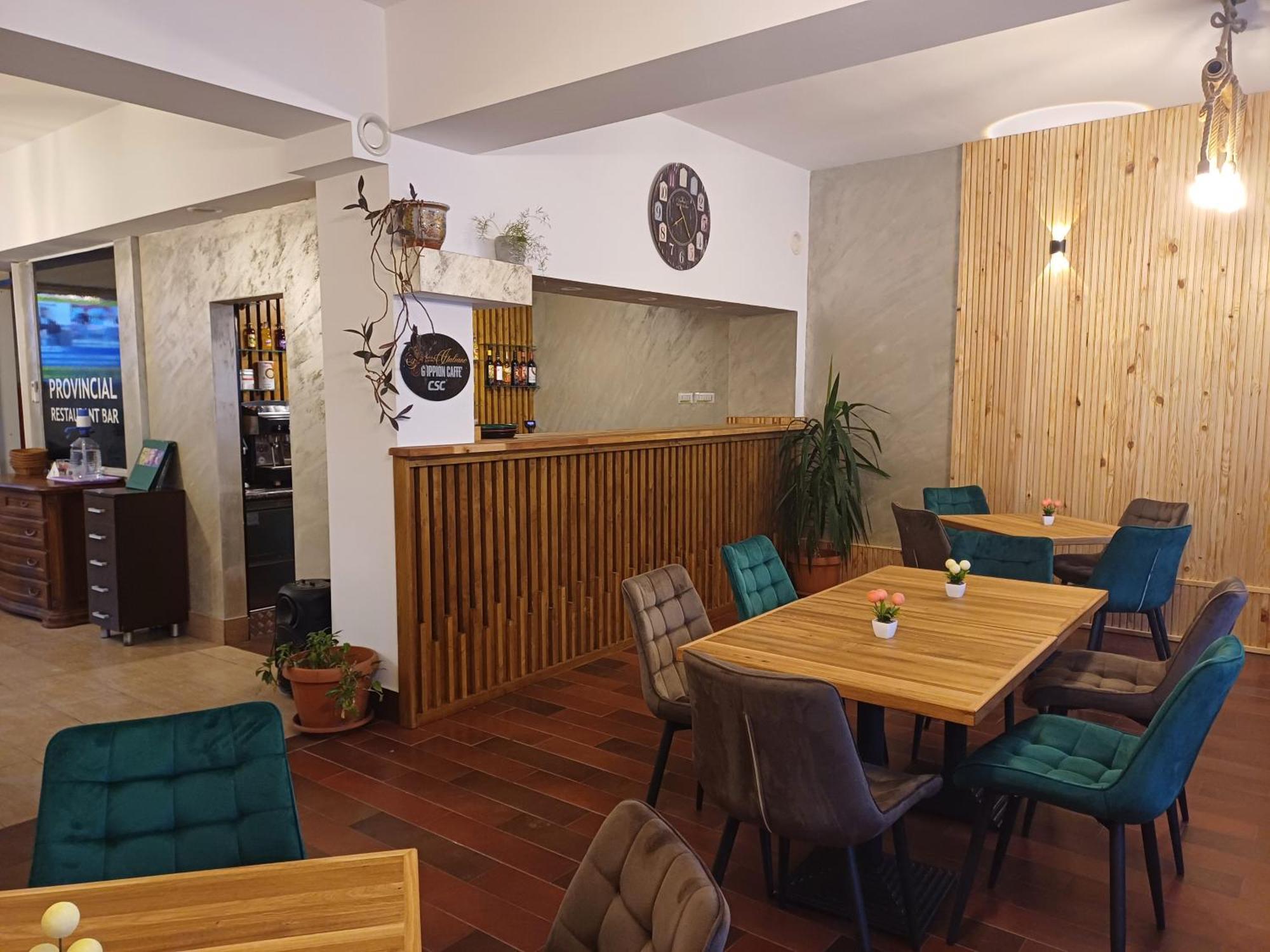 Hotel Provincial à Viseu de Jos Extérieur photo
